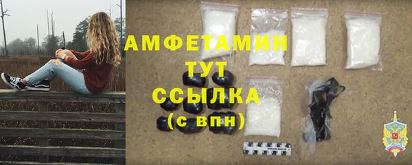 крисы Инта