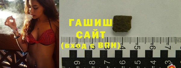прущие грибы Иннополис