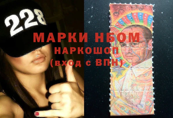 прущий лед Инсар