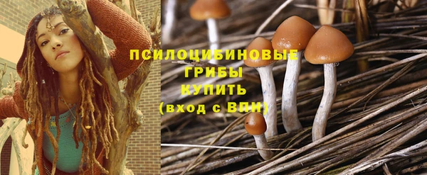 прущие грибы Иннополис