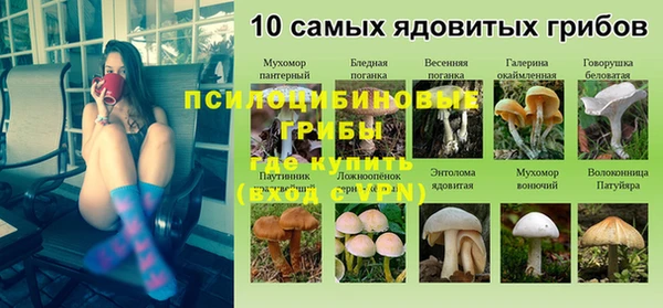 прущие грибы Иннополис