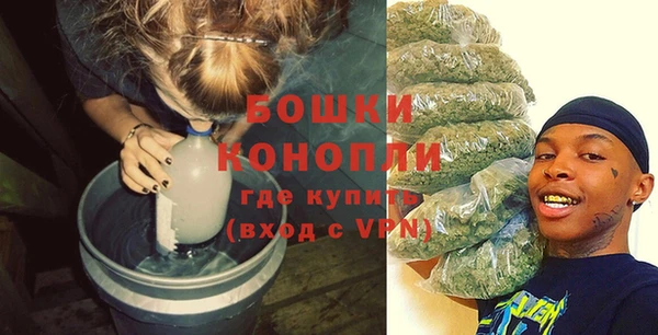 крисы Инта