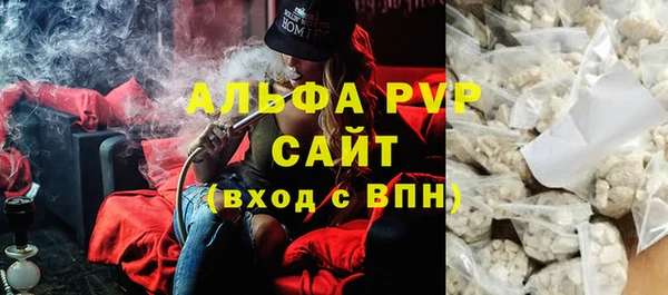 прущие грибы Иннополис