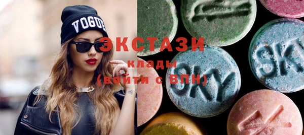 крисы Инта