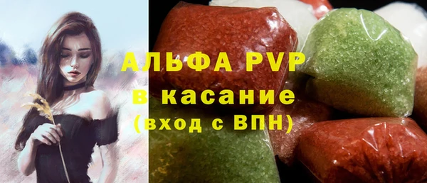 крисы Инта