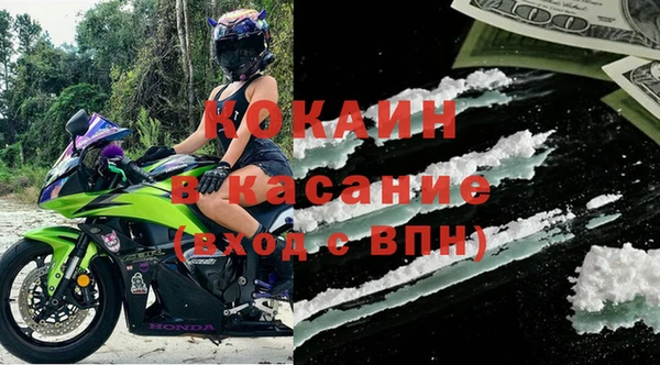 крисы Инта
