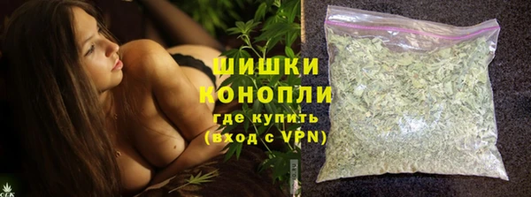 крисы Инта
