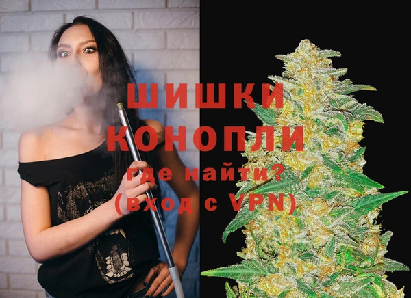 прущие грибы Иннополис