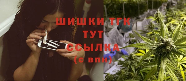 прущий лед Инсар