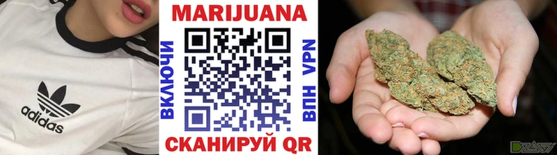Купить где  Жуковка  Каннабис индика 